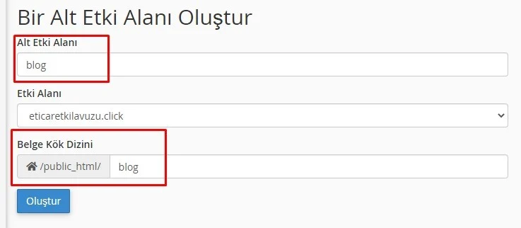 Subdomain Nedir, Ne İşe Yarar? Web Hosting 